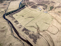 260306 Braemore 060