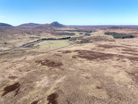260306 Braemore 001