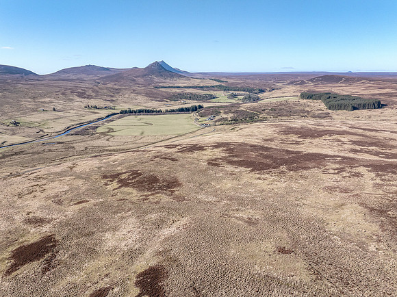 260306 Braemore 001