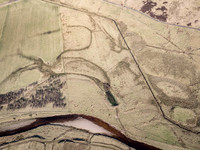 260306 Braemore 061