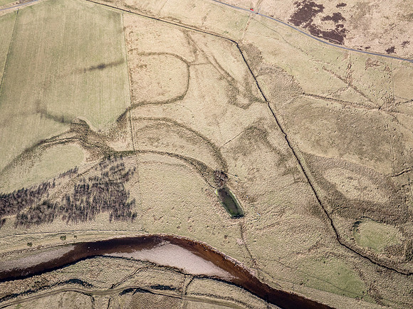 260306 Braemore 061