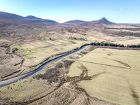 260306 Braemore 065