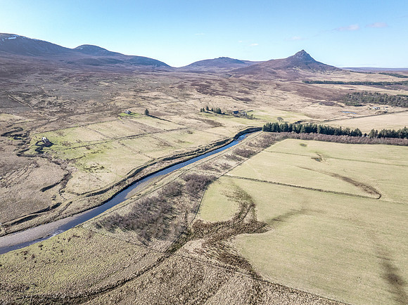 260306 Braemore 065