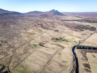 260306 Braemore 063