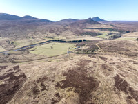 260306 Braemore 005
