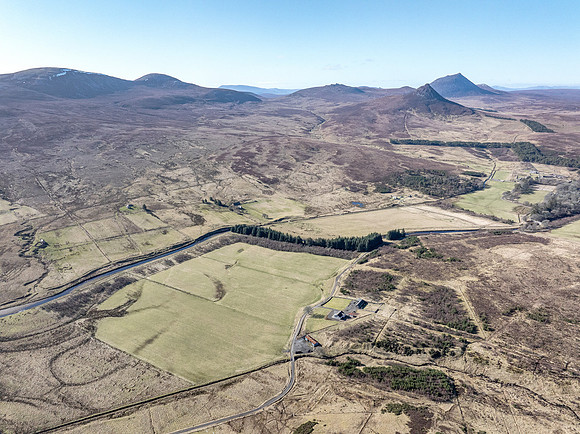 260306 Braemore 008