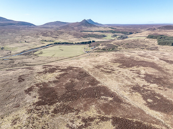 260306 Braemore 002