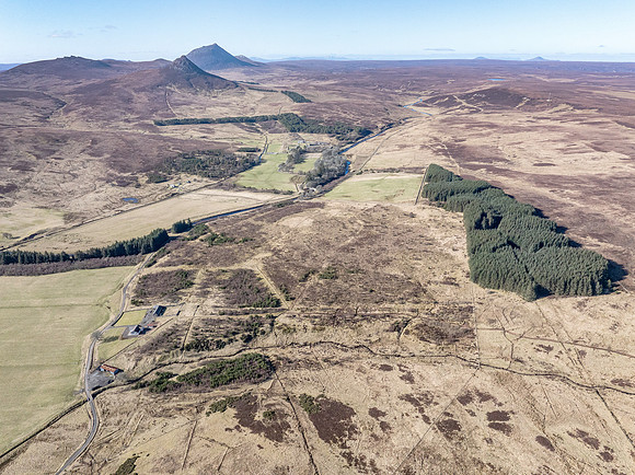 260306 Braemore 009