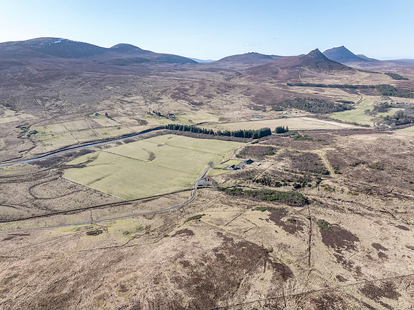 260306 Braemore 006