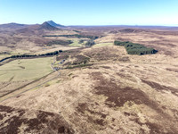 260306 Braemore 004