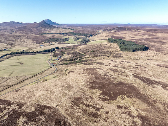 260306 Braemore 004