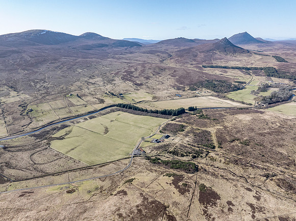 260306 Braemore 011