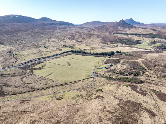 260306 Braemore 007
