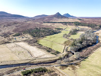 260306 Braemore 014