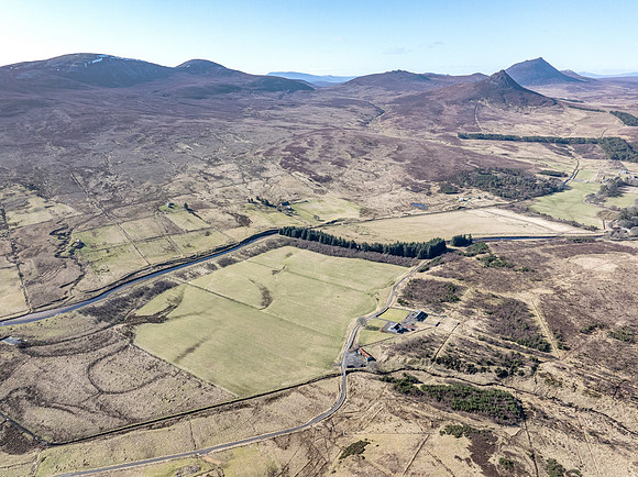 260306 Braemore 010