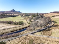 260306 Braemore 012