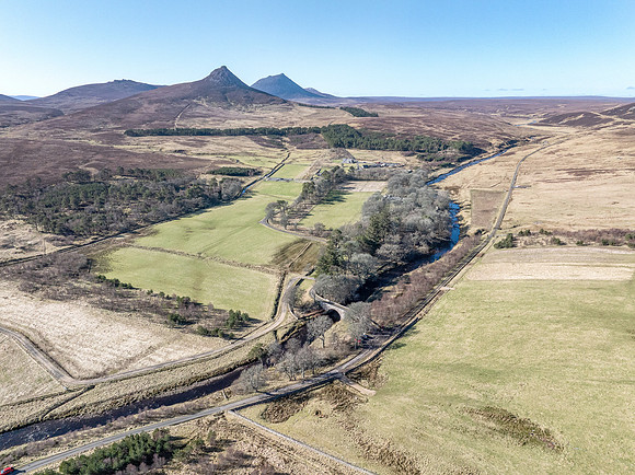 260306 Braemore 015