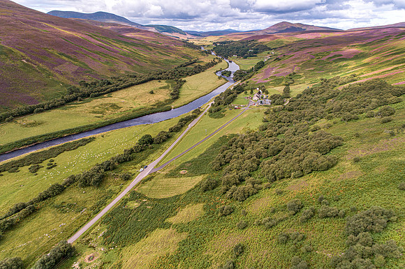240820 Torrish 058