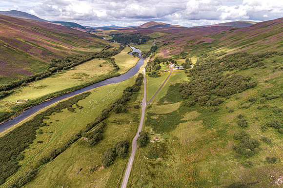 240820 Torrish 039