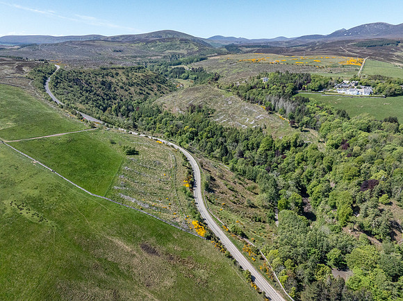 250520 Berriedale (18)