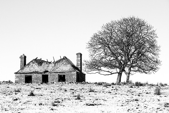 210122 Quoys 009