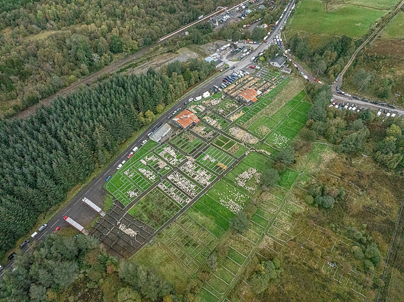261005 Lairg Sale 118