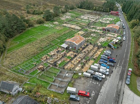 261005 Lairg Sale 088