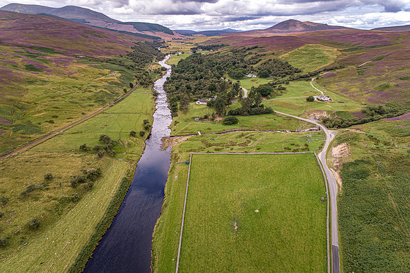 240820 Torrish 095