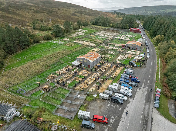 261005 Lairg Sale 086
