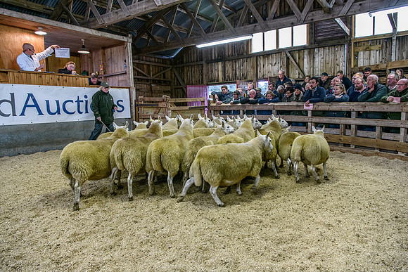 261005 Lairg Sale 062