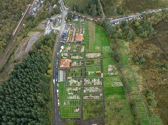 261005 Lairg Sale 120