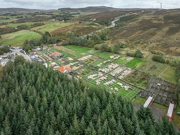 261005 Lairg Sale 132