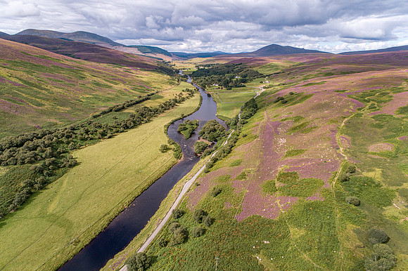 240820 Torrish 088