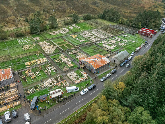 261005 Lairg Sale 100