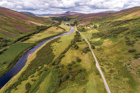 240820 Torrish 046
