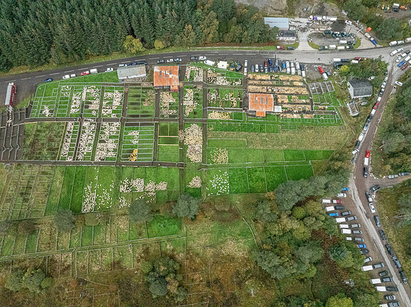 261005 Lairg Sale 113
