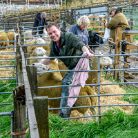 261005 Lairg Sale 002