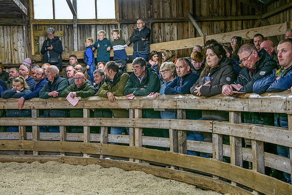 261005 Lairg Sale 054