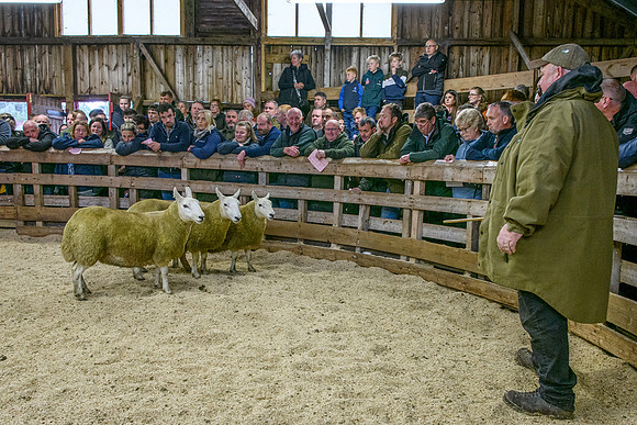 261005 Lairg Sale 024