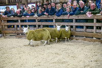 261005 Lairg Sale 017