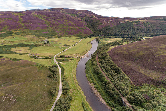 240820 Torrish 005