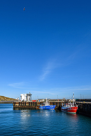 220319 Scrabster 081