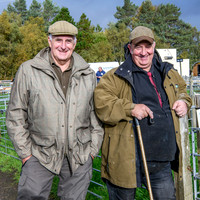 261005 Lairg Sale 009