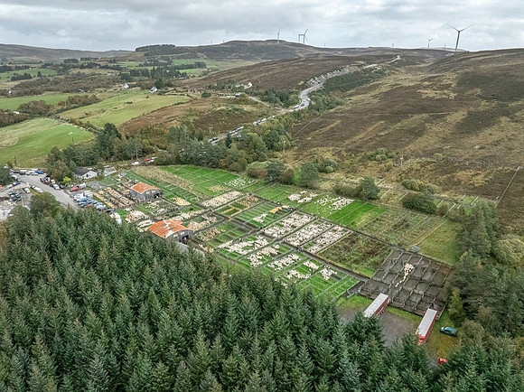 261005 Lairg Sale 133
