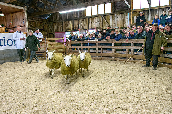 261005 Lairg Sale 028