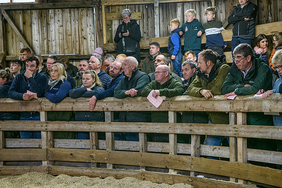 261005 Lairg Sale 053