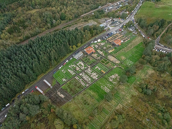 261005 Lairg Sale 119