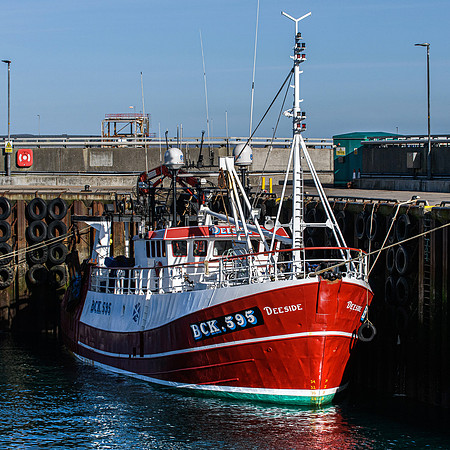 220319 Scrabster 035