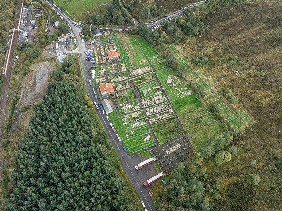 261005 Lairg Sale 122