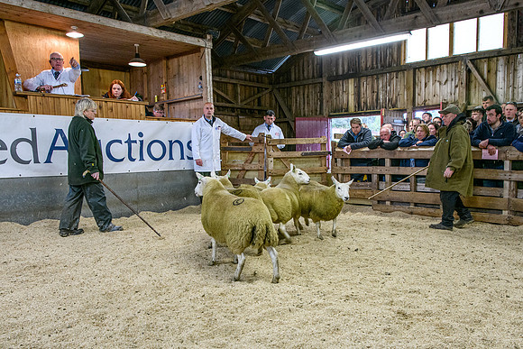 261005 Lairg Sale 040
